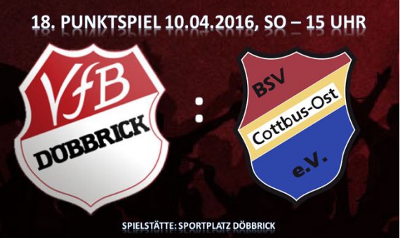 10.04.2016 VfB - BSV Cottbus 2:0
